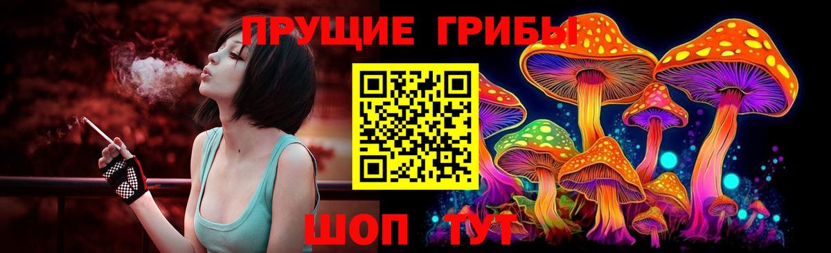 Псилоцибиновые грибы мицелий  Псилоцибиновые грибы Psilocybine cubensis  Богородицк  Вход с VPN 